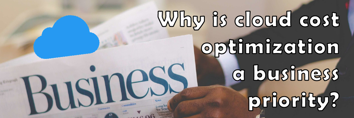 why is cloud cost optimization a business priority